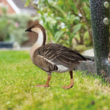 Decoratiune de Gradina, Vivimall, Model Gasca Salbatica, Tip Placa, Grosime 3 mm, Fata-Verso, 27 x 30 cm, Maro - vivimall.ro