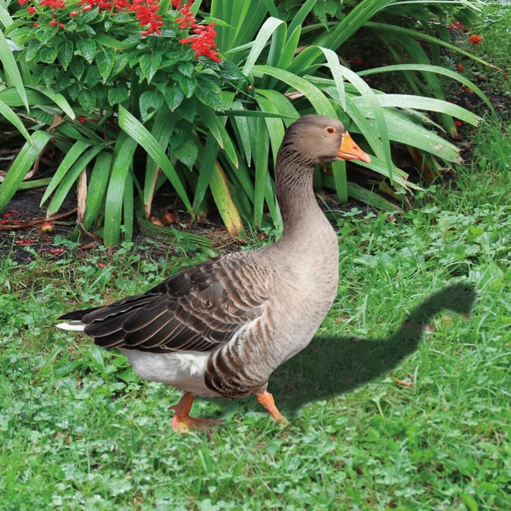 Decoratiune de Gradina, Vivimall, Model Gasca Salbatica, Tip Placa, Grosime 3 mm, Fata-Verso, 27 x 30 cm, Maro - vivimall.ro