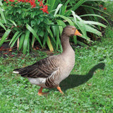 Decoratiune de Gradina, Vivimall, Model Gasca Salbatica, Tip Placa, Grosime 3 mm, Fata-Verso, 27 x 30 cm, Maro - vivimall.ro