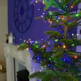 Instalatie Craciun, 55 m, 550 Led-uri ,Liniara, Rosu/Albastru/Rosu/Verde, Flash, Transformator, Interconectabila, Prelungitor 3 m inclus, Fir Verde, Flippy - vivimall.ro