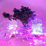 Instalatie De Craciun Cu Baterii Fir Cupru Tip Sir 5 M 50 Led -Uri
