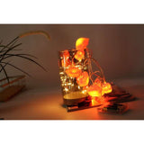 Instalatie de Craciun, Flippy®, Tip Sir cu Baterii, 1.5 m, 10 LED-uri, Model Buze, Rosu - vivimall.ro