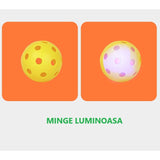 Joc Spikeball, Vivimall, Joc in 2, pentru Plaja, Parcuri, Interior, 2 Plase, 2 Mingi, Multicolor - vivimall.ro