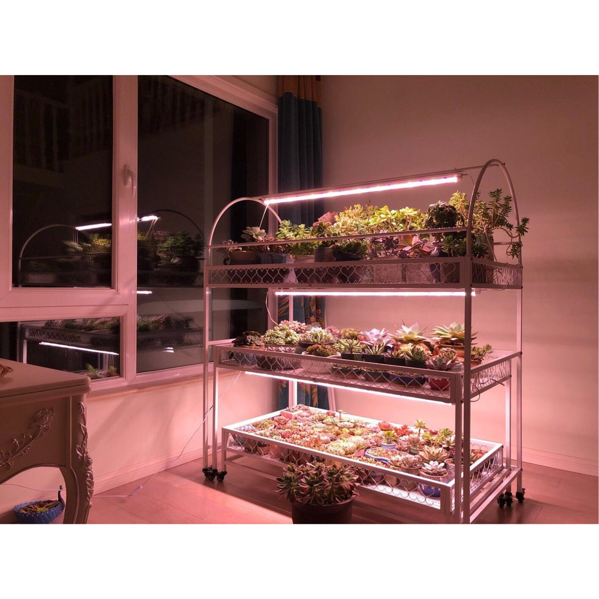Lampa Dubla Cresterea Plantelor 50 Cm | PlantGlow 1 - vivimall.ro