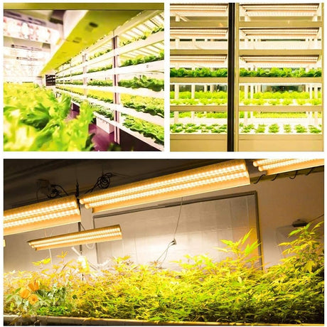 Lampa Dubla Cresterea Plantelor 50 Cm | PlantGlow 1 - vivimall.ro