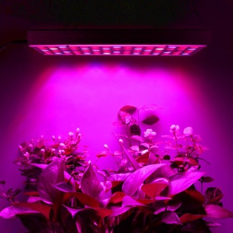 Lampa Led 15W Pentru Cresterea Plantelor | Florix 2