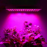 Lampa Led 15W Pentru Cresterea Plantelor | Florix 2