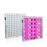 Lampa LED 45W Flippy, pentru cresterea plantelor in interior, 225 de leduri, 165 leduri rosii, 60 albastre, 30 x 30 cm, multicolor