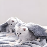 Patura Fosforescentă Cu Cer Instelat | GlowBlanket - vivimall.ro
