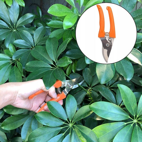 Set 12 Unelte de Gradina, Vivimall, pentru Plantare Prelucrare Sol si Ingrijire Plante, Manere Portocalii, Material PVC si Cardboard, Cutie Inclusa, 37x28 cm, Negru - vivimall.ro