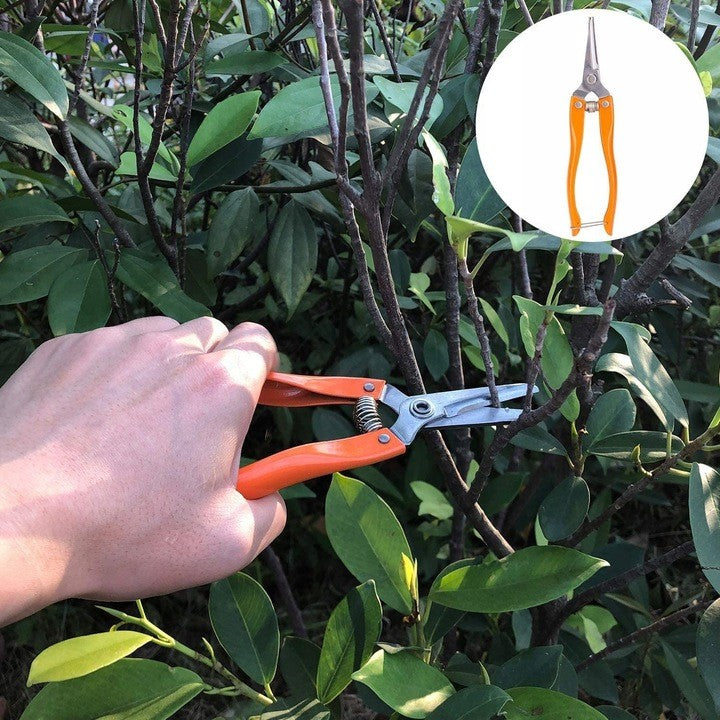 Set 12 Unelte de Gradina, Vivimall, pentru Plantare Prelucrare Sol si Ingrijire Plante, Manere Portocalii, Material PVC si Cardboard, Cutie Inclusa, 37x28 cm, Negru - vivimall.ro