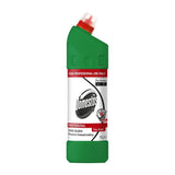 Pachet promoțional 12 sticle Domestos Dezinfectant Zilnic Pine Fresh 1 L, vedere de ansamblu