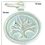 Pandantiv Din Argint 925 Jolie Silver, 1.6 G