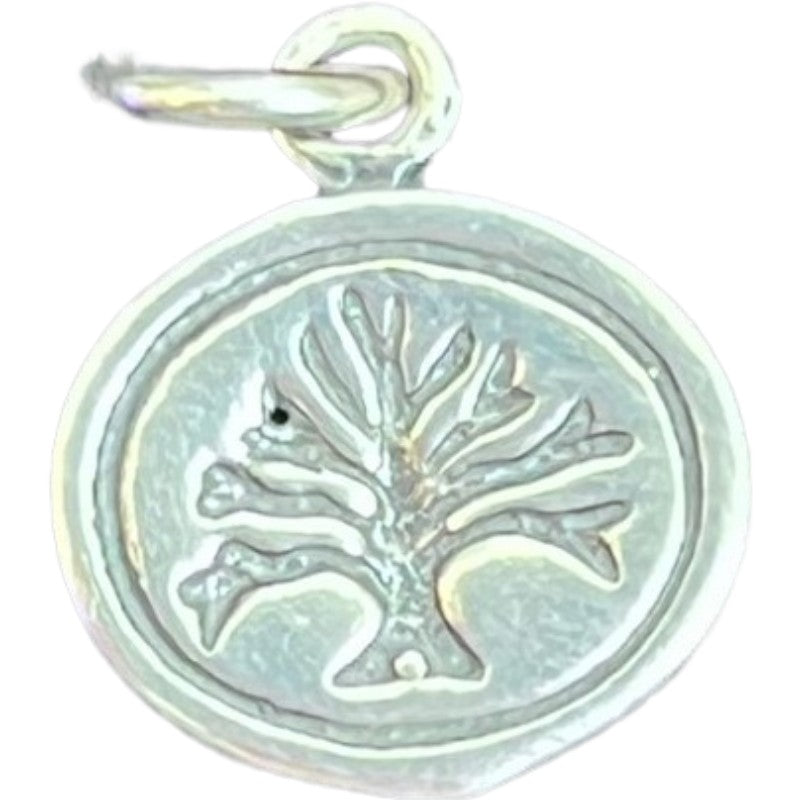Pandantiv Din Argint 925 Jolie Silver, 1.6 G