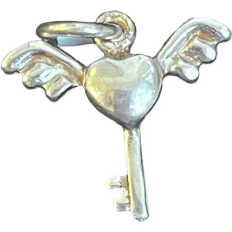 Pandantiv Din Argint 925 Jolie Silver, 1.1 G