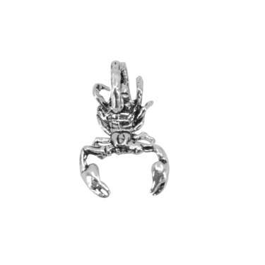 Pandantiv Din Argint, Scorpion