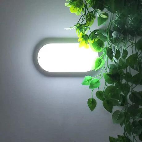Plafoniera Led Maximus - vivimall.ro
