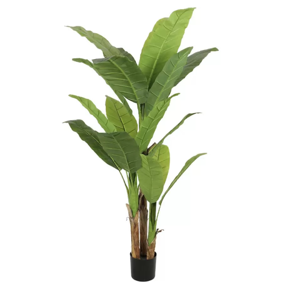 Planta Artificiala Banan Japonez, 3 Crengi