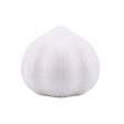 Presa Manuala Pentru Usturoi, Model Usturoi, 7 X 7.5 Cm, Din Plastic, Alb - vivimall.ro