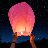 Lampion Zburator Roz | SkyBloom 3