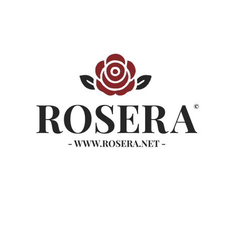 Gel de Dus Tulipan Negro Mandarin și Lime 650ml – Revitalizează-ți Pielea