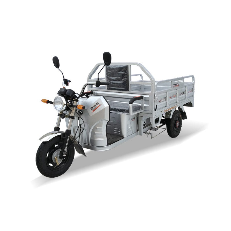 Scuter Electic Chuanqi, Vivimall, 1600W, 2500x880x1150mm, 25km/h, Timp de Incarcare 6-8h, Gri - vivimall.ro