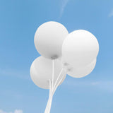 Set 10 Baloane Din Latex, 13 Cm, E, 2.2 G - vivimall.ro