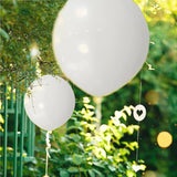 Set 10 Baloane Din Latex Metalizate, Alb, 23 Cm, 2.2 G - vivimall.ro