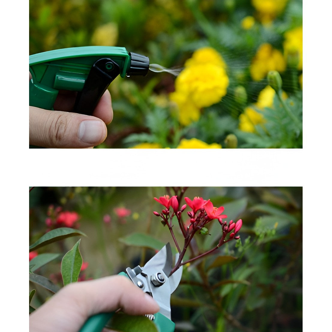 Set 12 Unelte de Gradina, Vivimall, pentru Plantare Prelucrare Sol si Ingrijire Plante, Material PVC si Cardboard, Cutie Inclusa, 37x28 cm, Verde - vivimall.ro