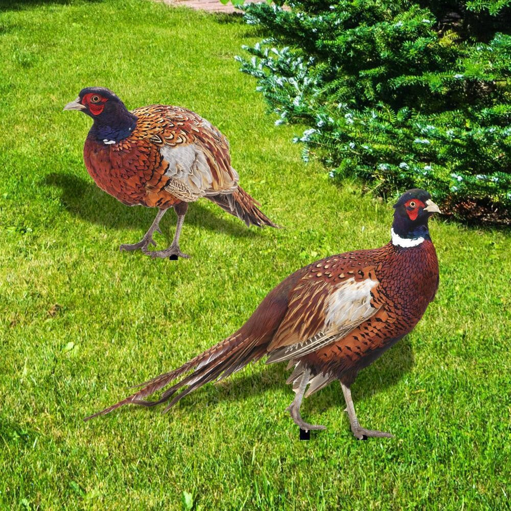 Set 2 Decoratiuni De Gradina Păsări | GardenCharm - vivimall.ro
