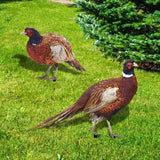 Set 2 Decoratiuni De Gradina Păsări | GardenCharm - vivimall.ro