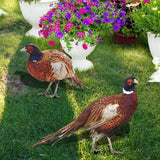 Set 2 Decoratiuni De Gradina Păsări | GardenCharm - vivimall.ro