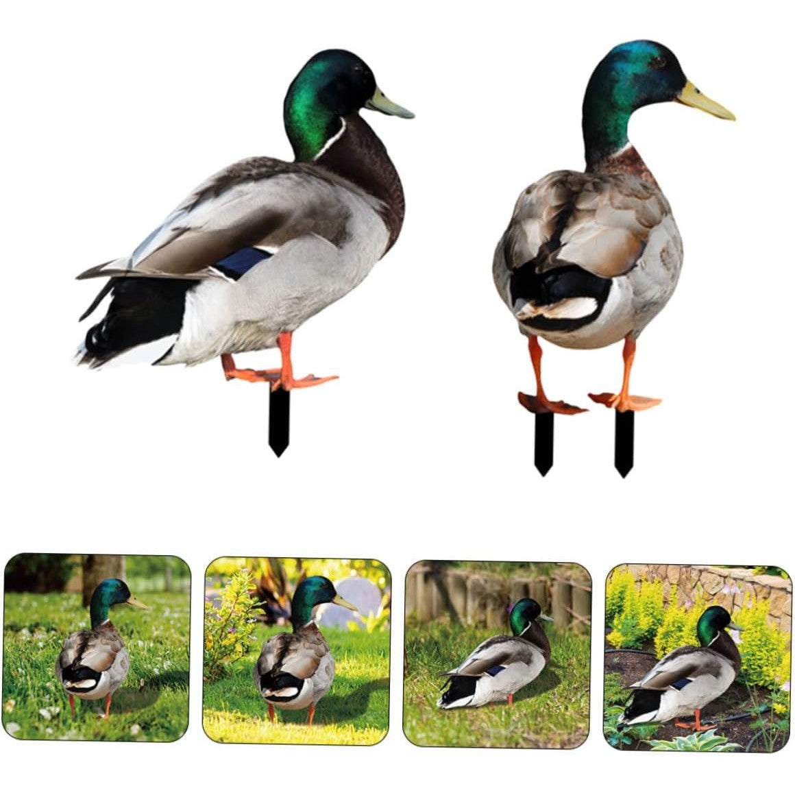 Set 2 Decoratiuni De Gradina Păsări | GardenCharm - vivimall.ro