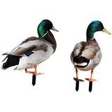 Set 2 Decoratiuni De Gradina Păsări | GardenCharm - vivimall.ro