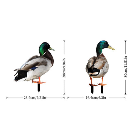 Set 2 Decoratiuni De Gradina, Tip Placa, Grosime 3 Mm, Fata-Verso - vivimall.ro
