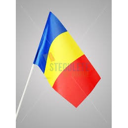 Steag de mana tricolor 20 x 30 CM - vivimall.ro