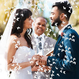 Tun de Confetti, Flippy, Confetti Cannon 40 cm, Model Fluturi din Hartie, Alb